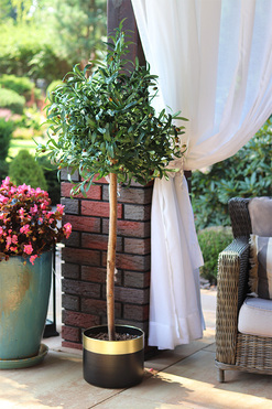 OD RĘKI Drzewko Oliwne Black&Gold, sztuczna roślina w donicy, wys.150cm 