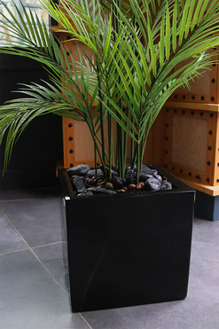 Palma Fiberglass, sztuczna roślina w czarnej donicy, wys.135cm