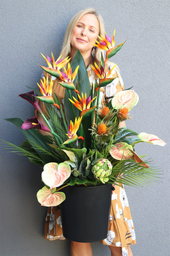 Anturium & Strelicja Saute Lux, egzotyczna kompozycja do donicy klienta, wys.94cm