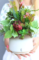 Sukulentana, kompozycja sukulenty w donicy, wys.33cm