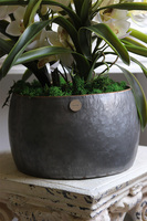 Nevile, sztuczny storczyk w metalowej osłonce