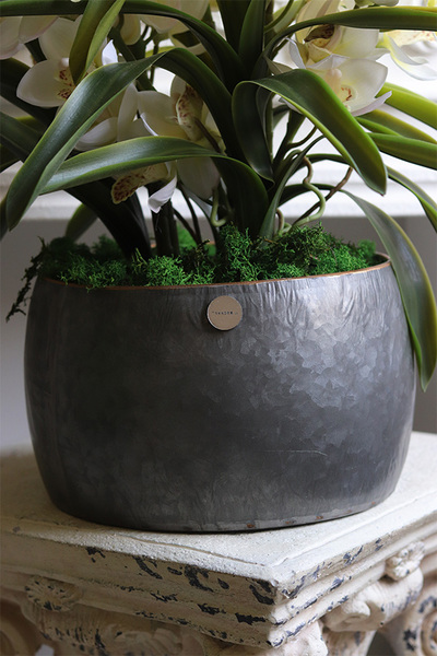 Nevile, sztuczny storczyk w metalowej osłonce