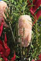 Ermitage, podłogowa dekoracja kwiatowa