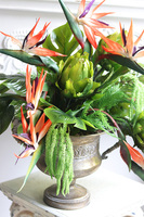 Strelicja Palace Side, egzotyczna dekoracja w pucharze