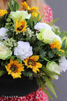 Słoneczne Dni, komplet dekoracji nagrobnych