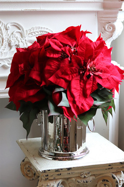 Gwiazda Betlejemska Cooler Deluxe Red, wysokiej jakości sztuczna roślina, wys.47cm 