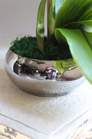 Mini Piano Silver Purple, sztuczny storczyk w lustrzanej donicy