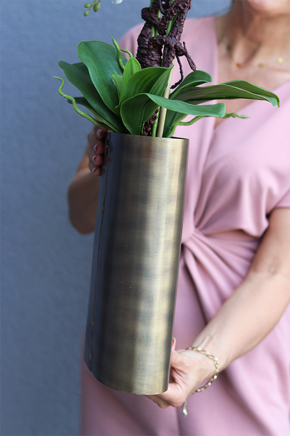 Złota Kraina Lux 2, storczyk w złotej owalnej osłonce