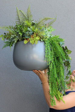 Walter Jungle, kompozycja z sukulentami w donicy fiberglass, wys.57cm