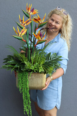 Strelicja Gold, kompozycja w złotej donicy, wys.76cm