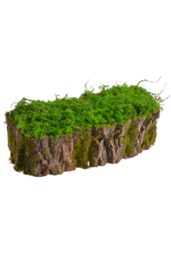 Forest C, omszona osłonka / donica z kory, wym.30x11x11cm