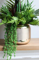 Strelicja Salise Gold, kompozycja w szklanej osłonce