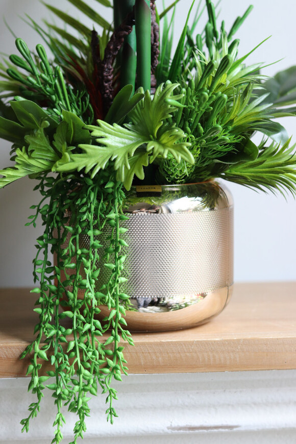 Strelicja Salise Gold, kompozycja w szklanej osłonce