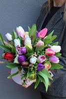 Modeno Portofino, flowerbox z tulipanami