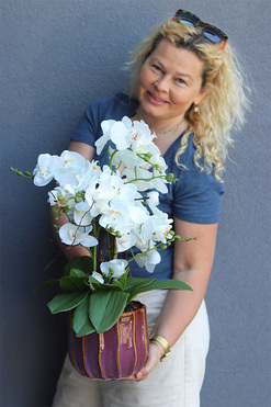 OD RĘKI Etnassi Allenta, sztuczny storczyk w brązowej osłonce, wys.57cm