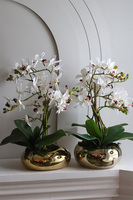 Gold Orchid Piano, storczyk w złotej donicy