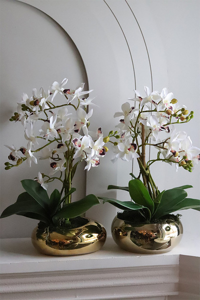 Gold Orchid Piano, storczyk w złotej donicy