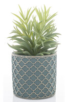 Peperomia Ferreyrae, sztuczna roślina w ozdobnej osłonce, wym.20x12x12cm