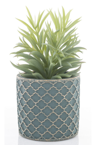 Peperomia Ferreyrae, sztuczna roślina w ozdobnej osłonce, wym.20x12x12cm