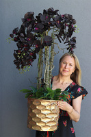 Aubergine Black, sztuczny storczyk w złotej donicy, wys.108cm