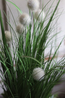 Michelo Gerio, sztuczna trawa kwitnąca z sukulentami, wys.68cm