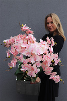 ekskluzywny storczyk w stalowej donicy, Pastellito Mirror Cube, wys.98cm