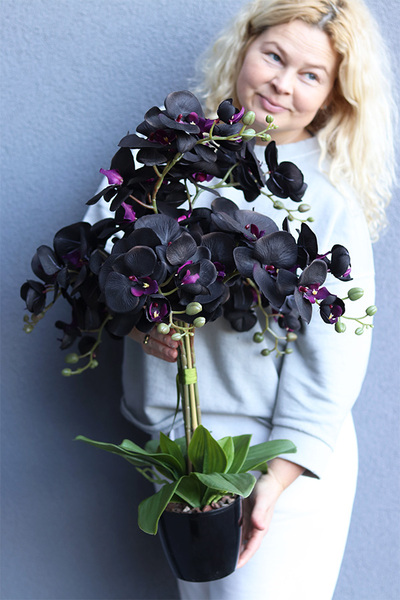 Black Orchid New, sztuczny czarny storczyk w osłonce