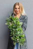 kompozycja sukulenty w długiej donicy, Hektor F