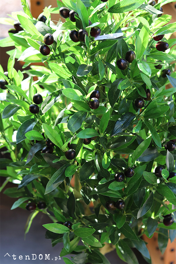 Drzewko Oliwne, sztuczna roślina w doniczce