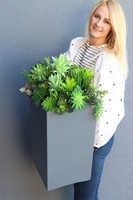 Fiberglass Denimo, sukulenty w szarej donicy, wys.81cm