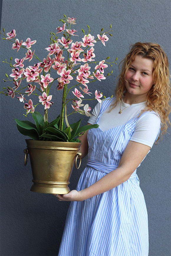 gumowy storczyk w złotym coolerze, Pink Golden Tresta