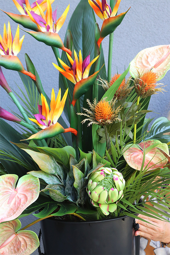 Anturium & Strelicja Saute Lux, egzotyczna kompozycja do donicy klienta, wys.94cm