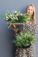 Wrzosowisko White Love, kompozycja kwiatowa w donicy