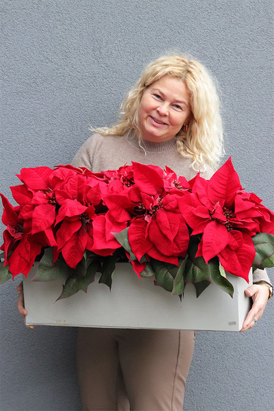 Gwiazda Betlejemska Modern Concrete, wysokiej jakości sztuczna roślina