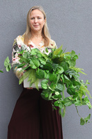 Green Scenery, zielone rośliny sztuczne w donicy