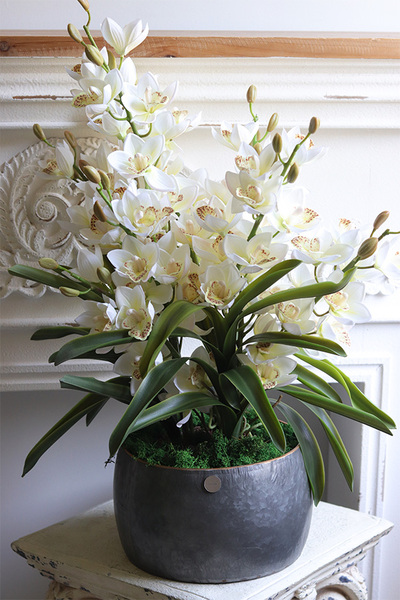 Nevile, sztuczny storczyk w metalowej osłonce