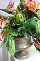 Strelicja Palace Side, egzotyczna dekoracja w pucharze