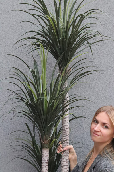 Jukka California, sztuczna roślina drzewko