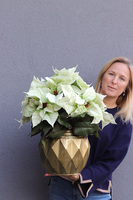 Gwiazda Betlejemska Gold Line, wysokiej jakości sztuczna roślina