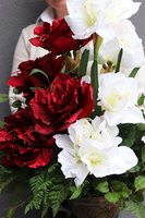 Ambasada Bordo, kompozycja z amarylisem w pucharze, wys.85cm 