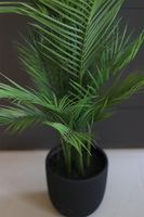 Haiti Volcan, sztuczna palma w czarnej donicy