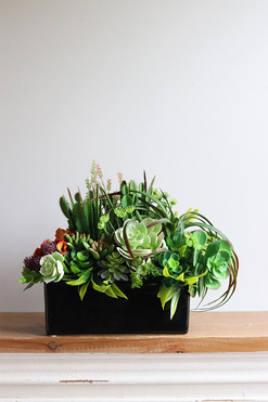September Green, sukulenty w czarnej donicy, wym.27x32cm