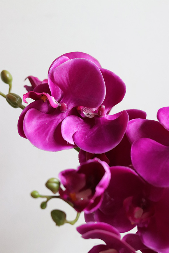 Fuksja Mini Piano, sztuczny storczyk w naczyniu glamour