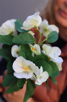 Bratki, kiść kwiatów, białe, dł.25cm