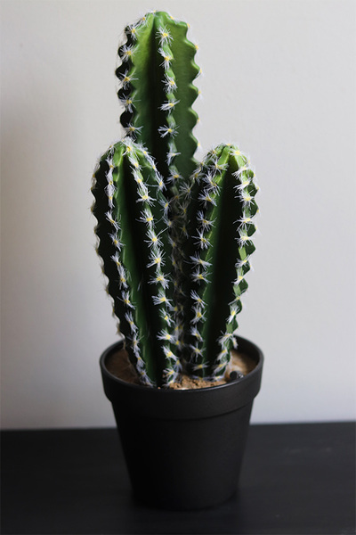 Kaktus Neria, sztuczna roślina