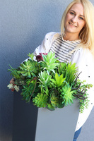 Fiberglass Denimo, sukulenty w szarej donicy, wys.81cm