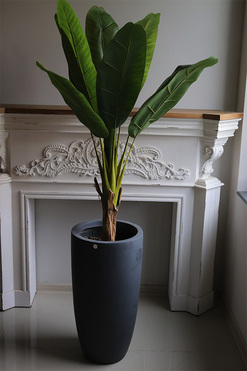 Bananowiec Concrete, sztuczna roślina w donicy, wys.162cm