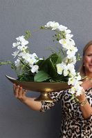 Laos Mekong, gumowy storczyk w pucharze