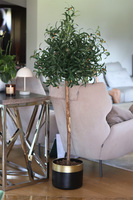 Drzewko Oliwne Black&Gold, sztuczna roślina w donicy