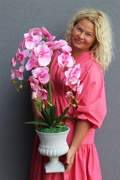 Filomena 2, różowy storczyk w pucharze, wys.85cm